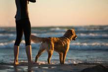 woman with dog on beach lincoln city oregon