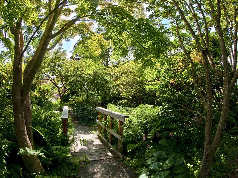 connie hansen garden conservancy photo